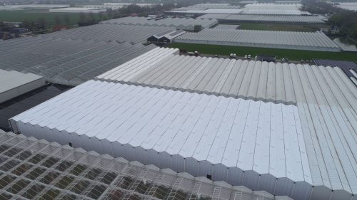 Venlo-kas polycarbonaat beglazing: 5.000m2 project in Amstelveen